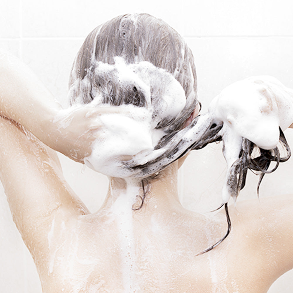 Pyunkang Yul Low pH Scalp Shampoo 500ml official product gallery image 4