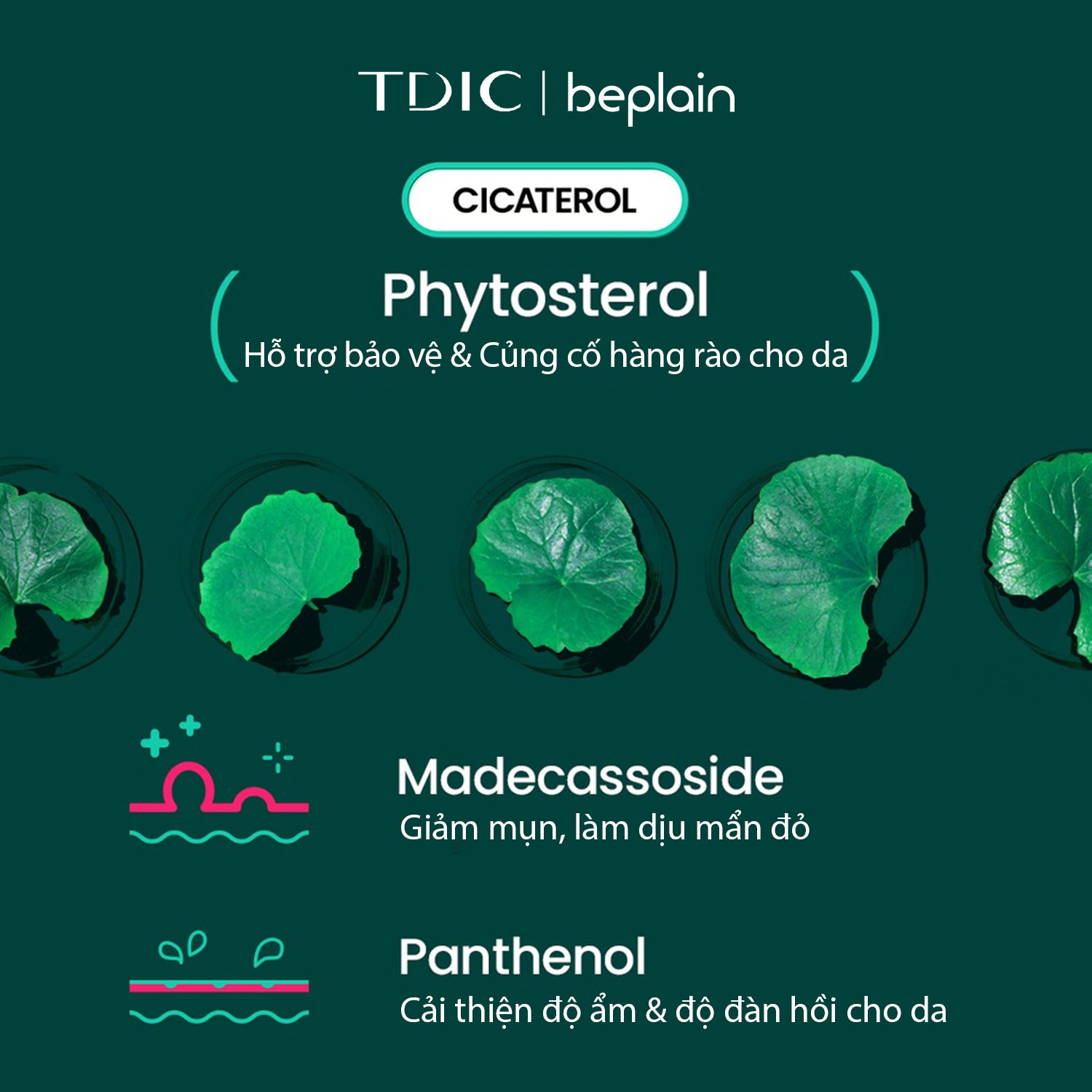 Beplain Cicaterol Ampoule 30ml product detail image 4