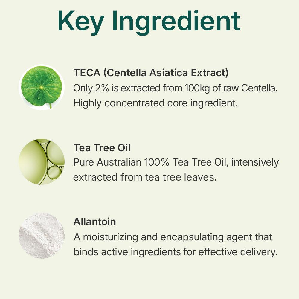 Centellian24 Madeca Powder Tea Tree AC 6g — product detail image 4