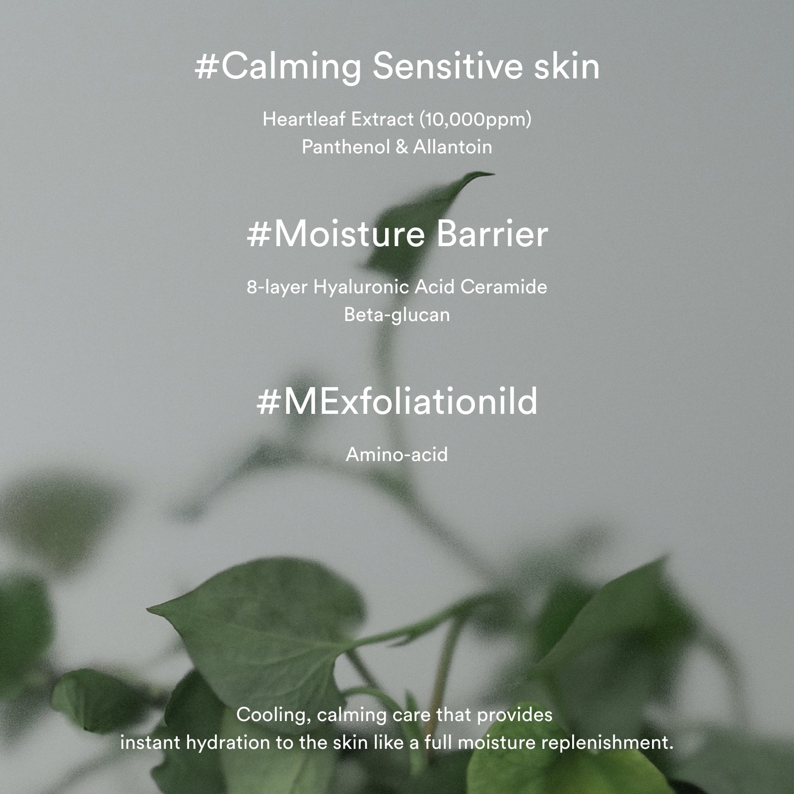 Abib Heartleaf Crème Calming Tube 75ml - official Abib product image 4