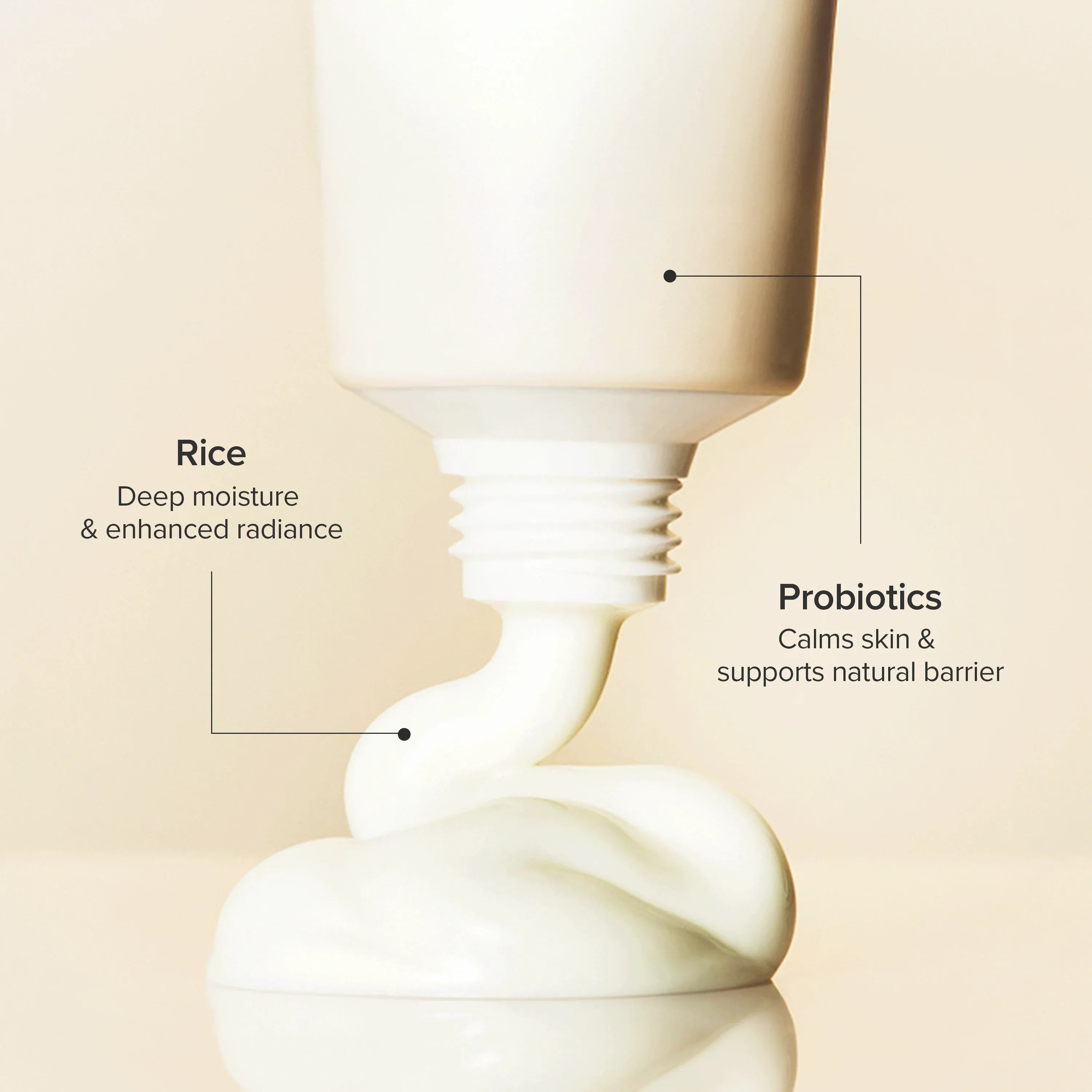 Beauty of Joseon Relief Sun : Rice + Probiotics 50ml official Beauty of Joseon source image 2