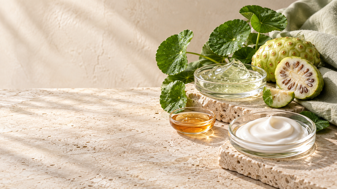 Celimax-inspired Korean skincare editorial still life with noni fruit, cica leaves, serum and cream