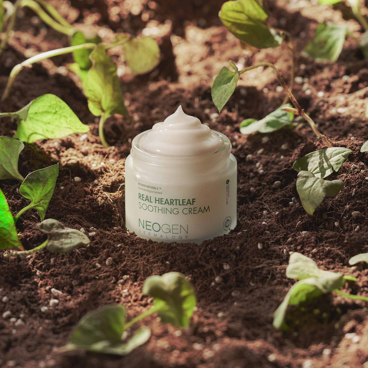 Neogen Real Heartleaf Soothing Cream 80g — Neogen official product image 4