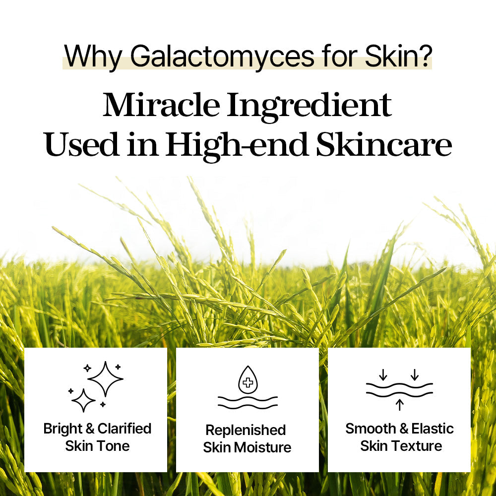 Mixsoon Galactomyces Toner 300ml product image 6