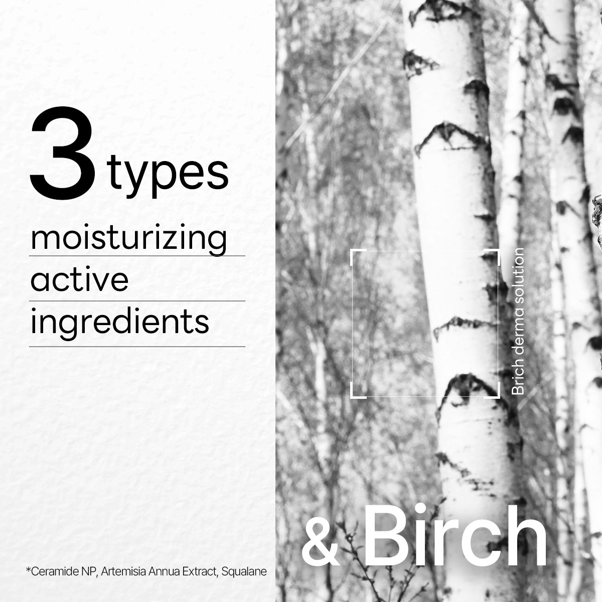 Mediheal Derma Plus Birch Mask 10ea product image 7