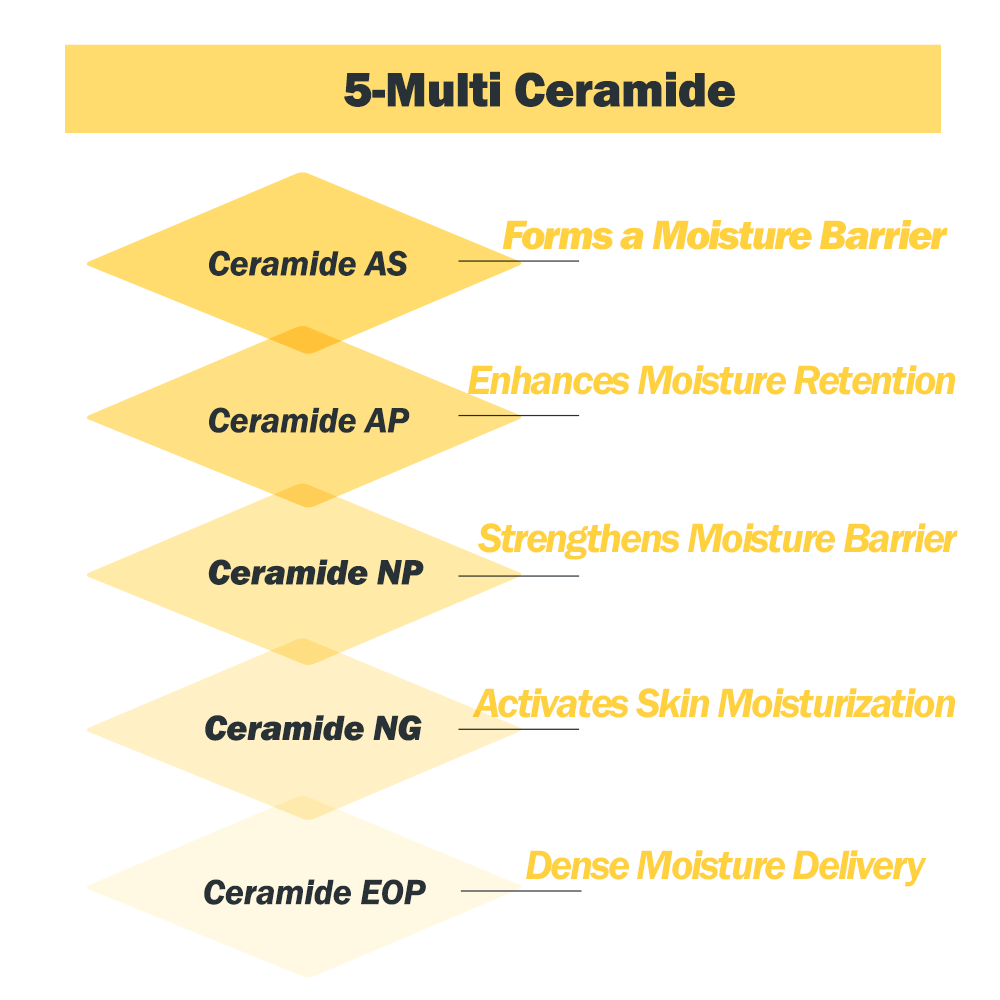 HolikaHolika CeraBarrier Moisture Active Cream 50ml product image 7