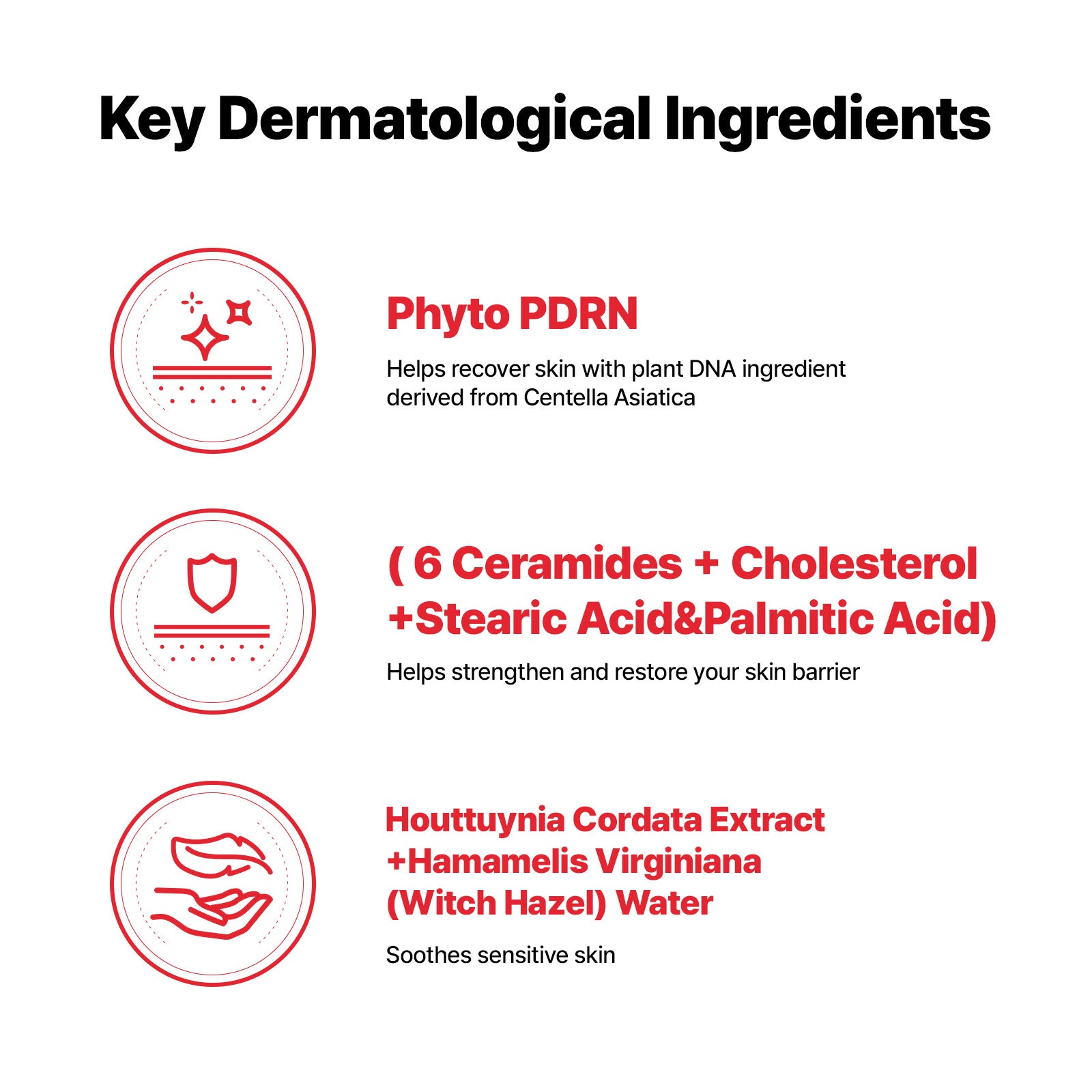 CellFusionC Sunscreen &amp; Ampoule Double Set (2+2) ― 50% OFF