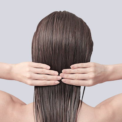 Pyunkang Yul Hair &amp; Body Travel Kit 100ml*4 official product gallery image 3