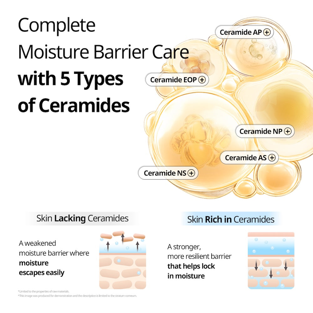 VT Cosmetics Rice Ceramide Capsule Cream 50ml