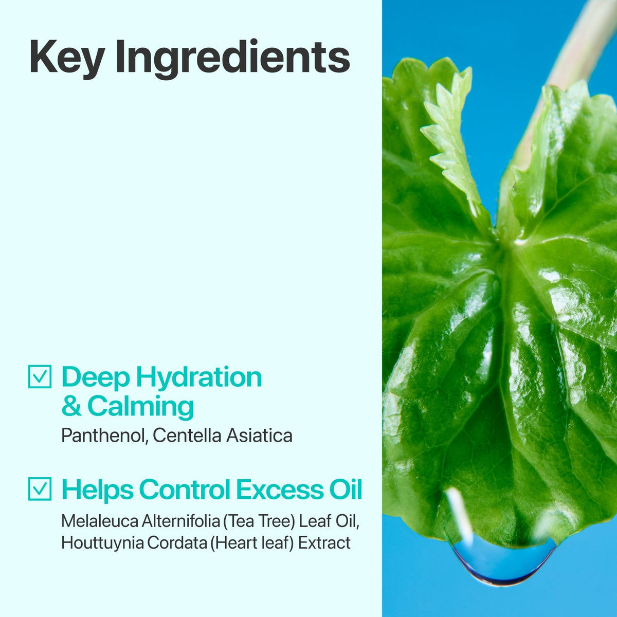 Numbuzin No. 1 Centella Re-Leaf Green Toner Pads 70 ct, 190ml — official product image 7
