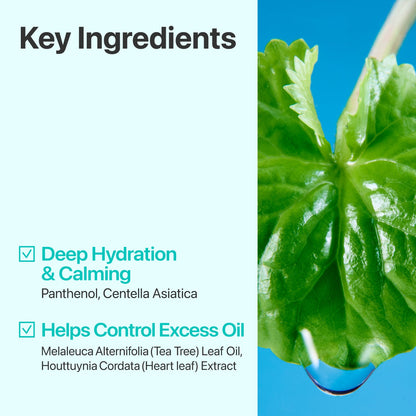 Numbuzin No. 1 Centella Re-Leaf Green Toner Pads 70 ct, 190ml — official product image 7
