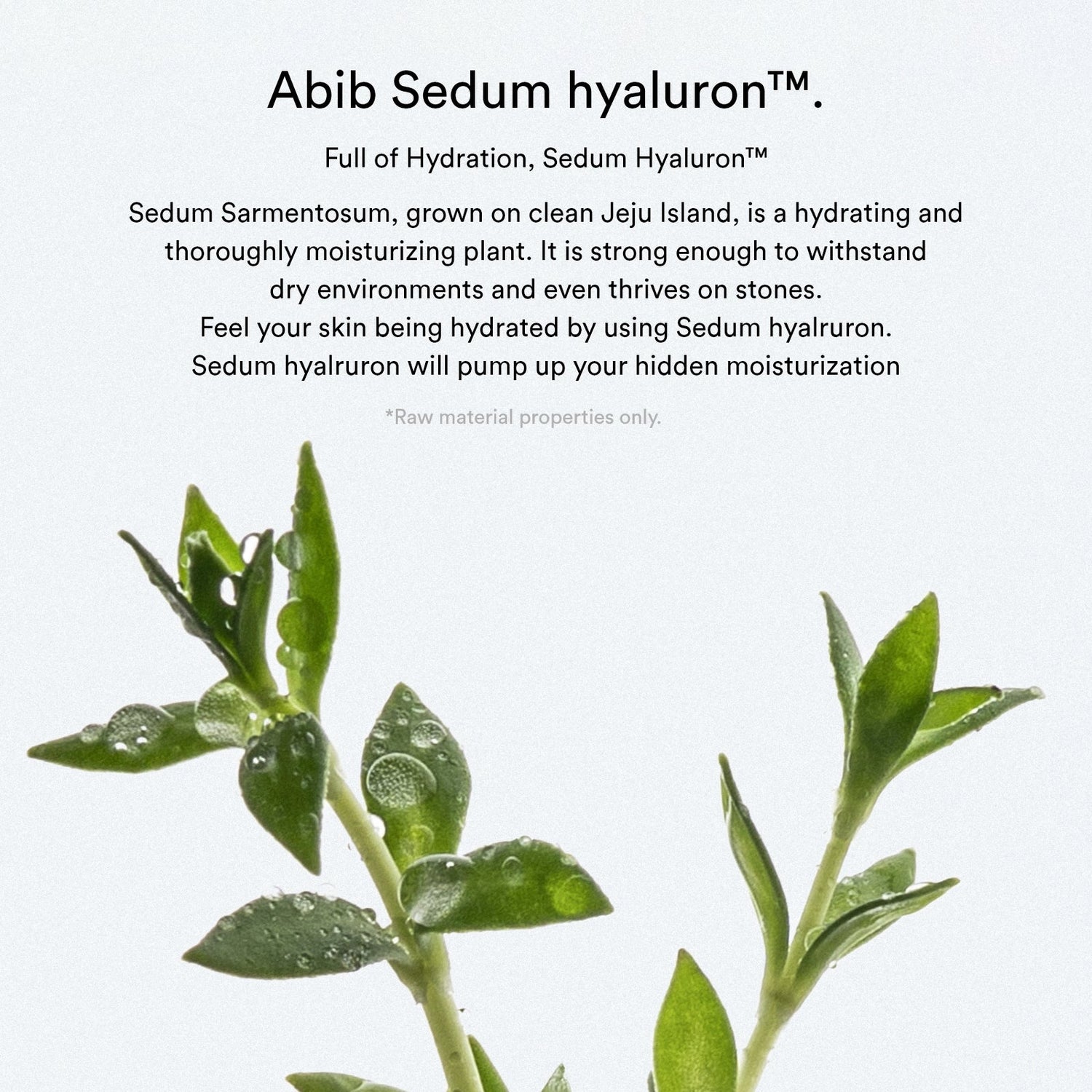 Abib Sedum Hyaluron Crème Hydrating Pot 80ml - official Abib product image 3
