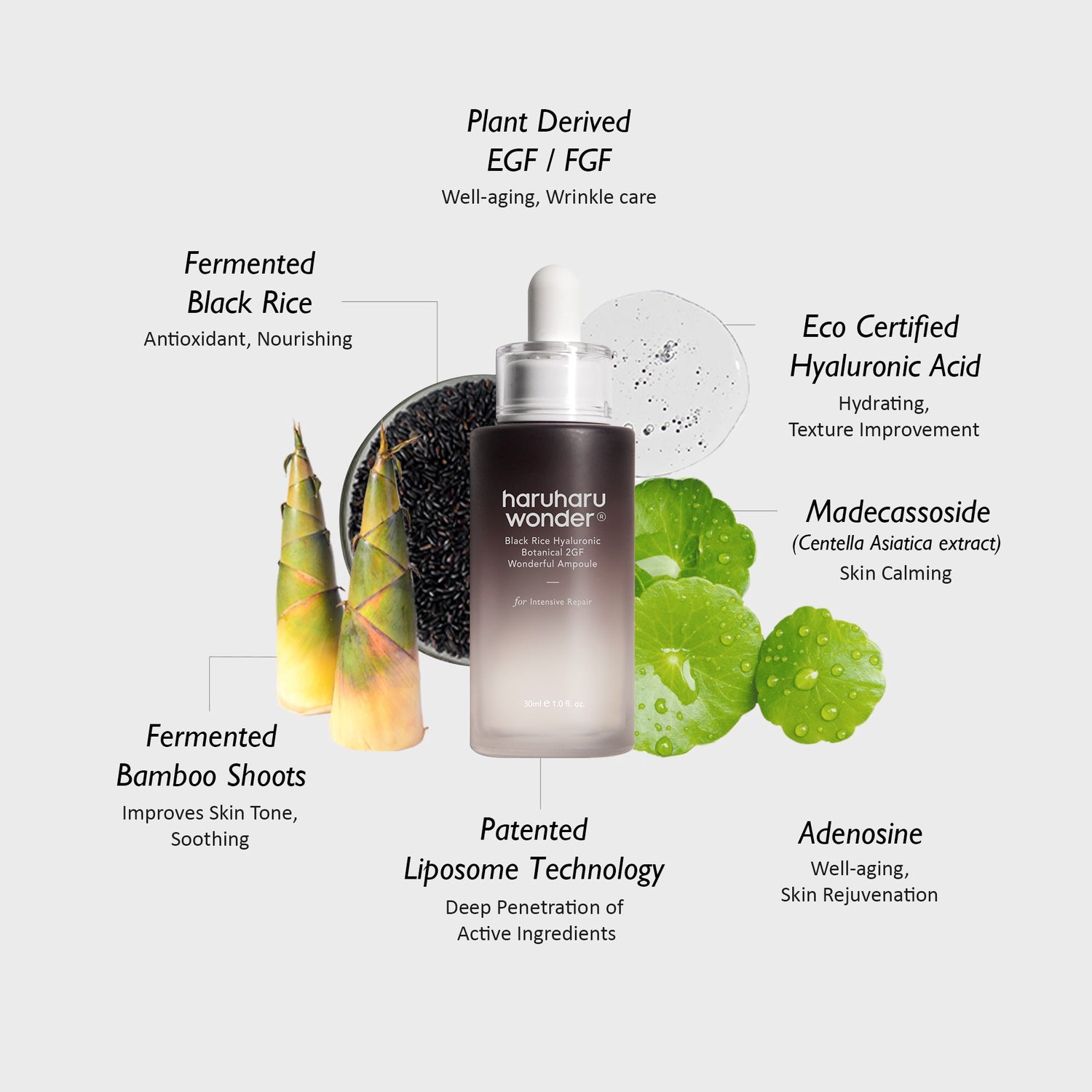 haruharuwonder Black Rice Hyaluronic Botanical 2GF Wonderful Ampuole 30ml product image 5