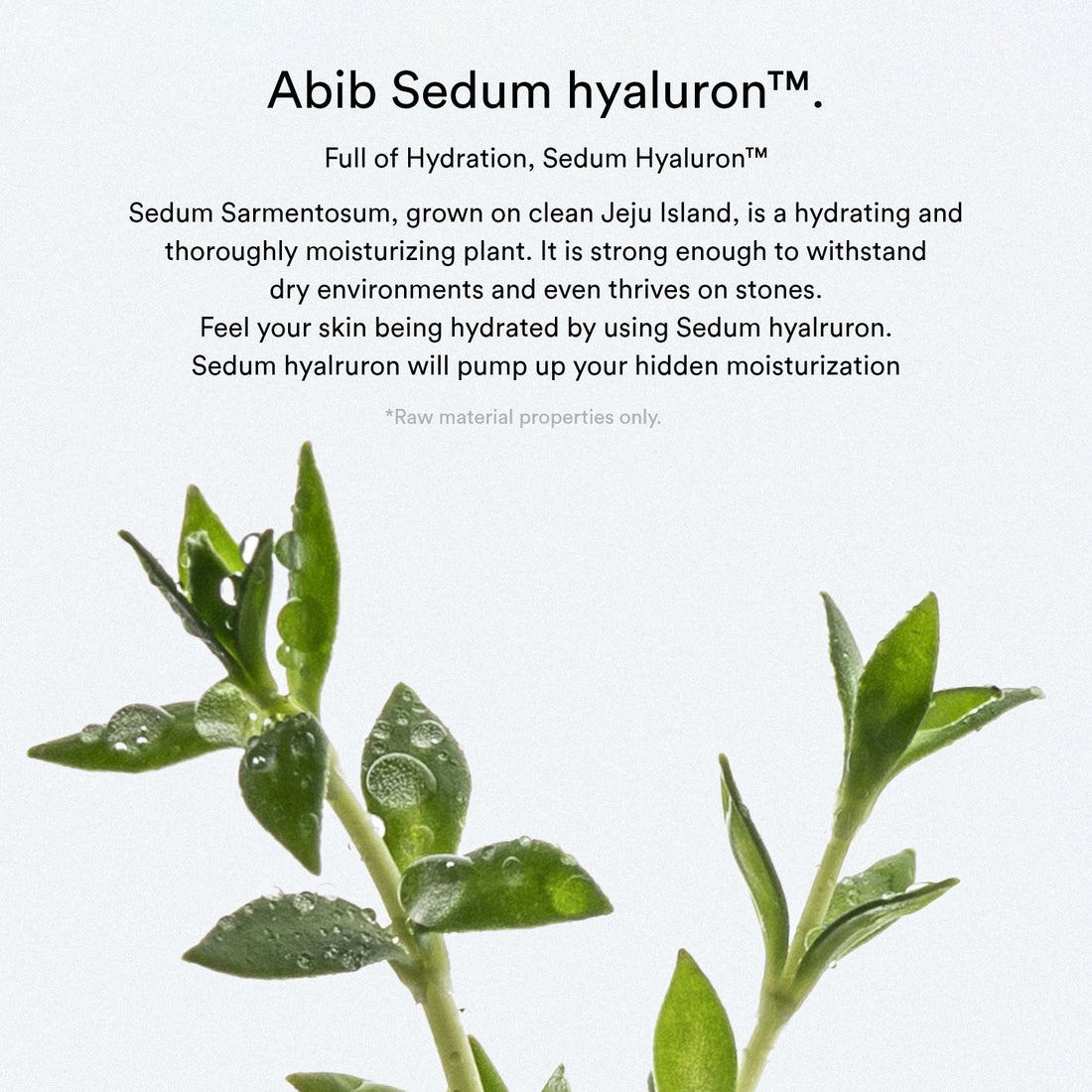 Abib Sedum hyaluron pad Hydrating touch - 165ml. 75 pads - official Abib product image 2