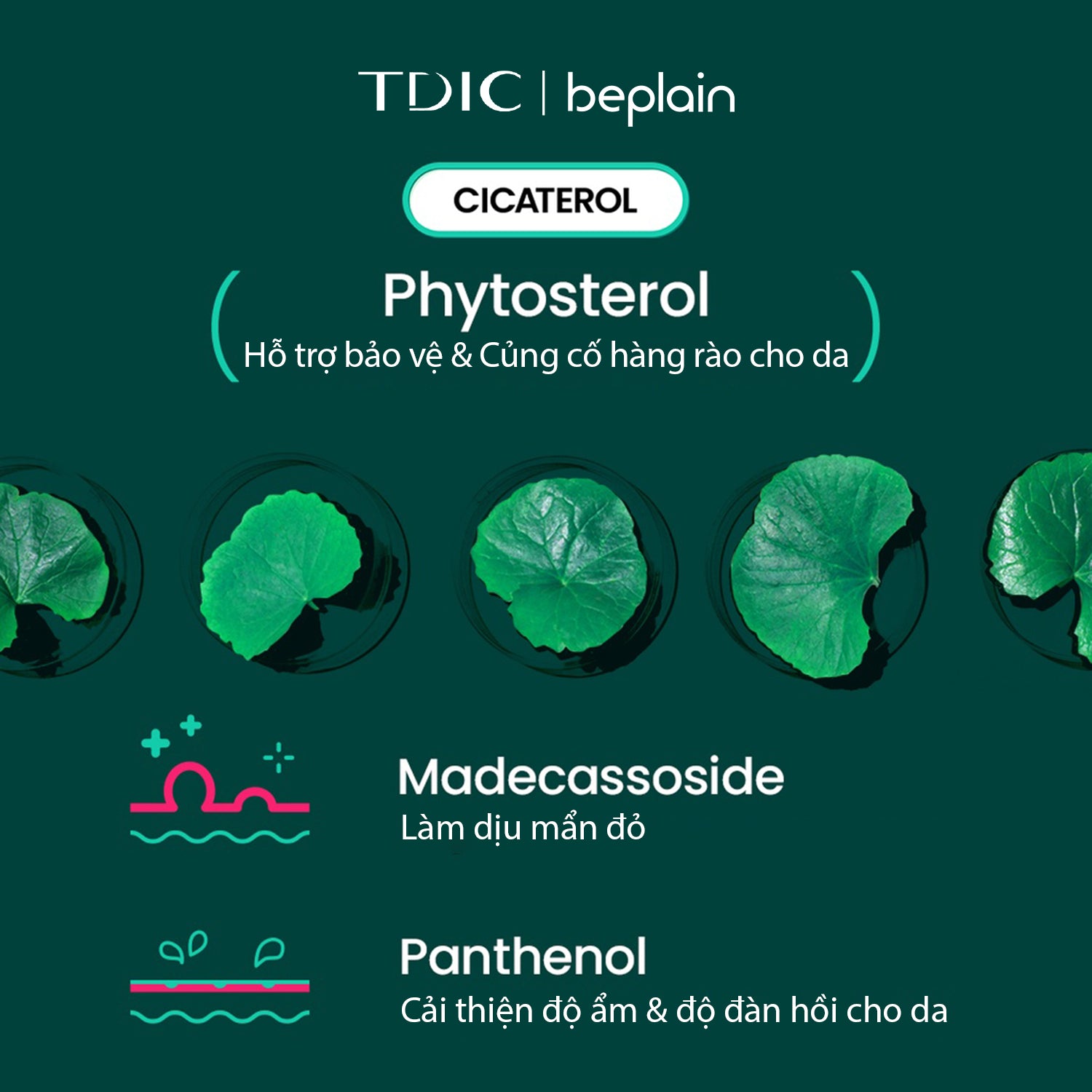 Beplain Cicaterol Moisturizer 60ml product detail image 7