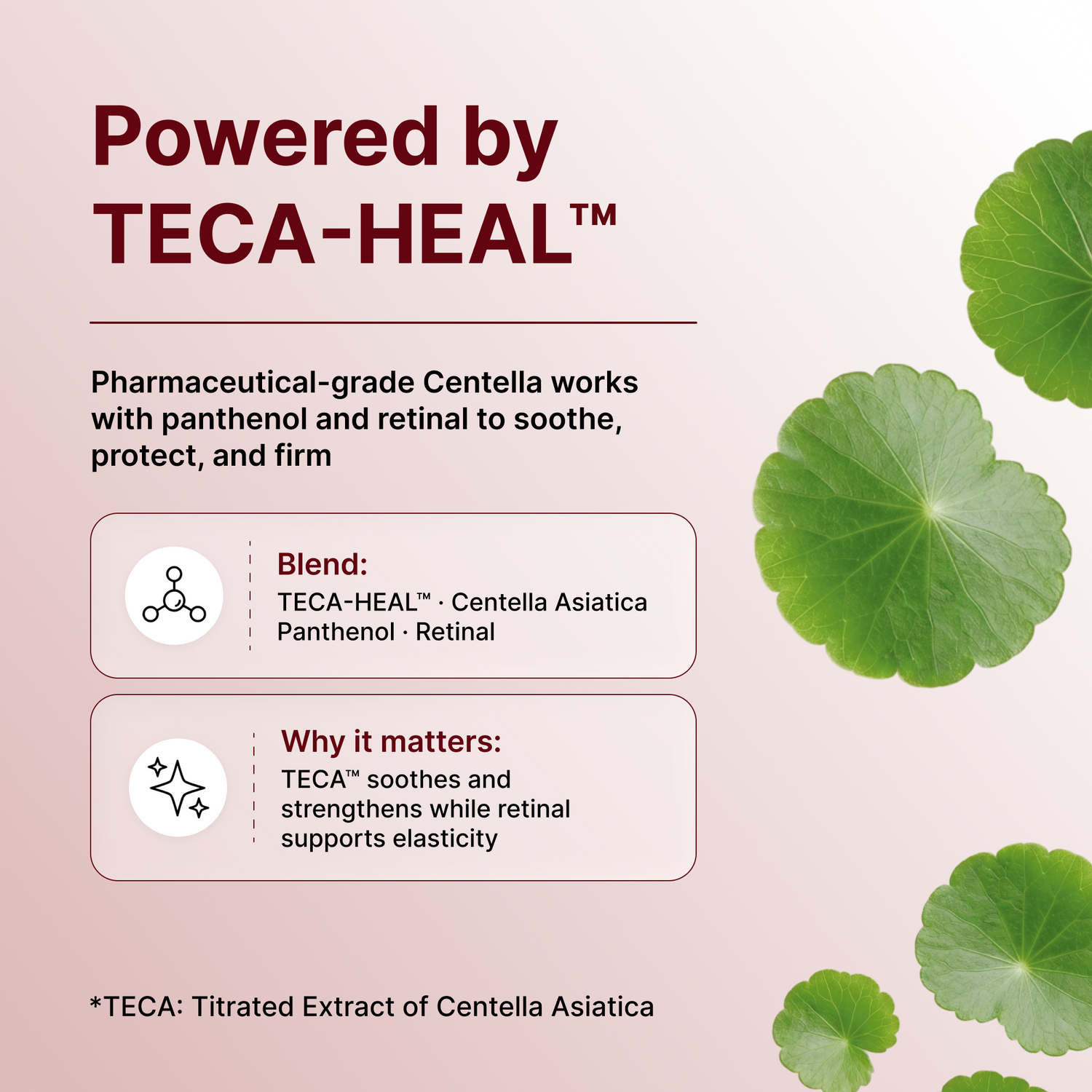 Centellian24 Expert Madeca Cream Signature 50ml — product detail image 7
