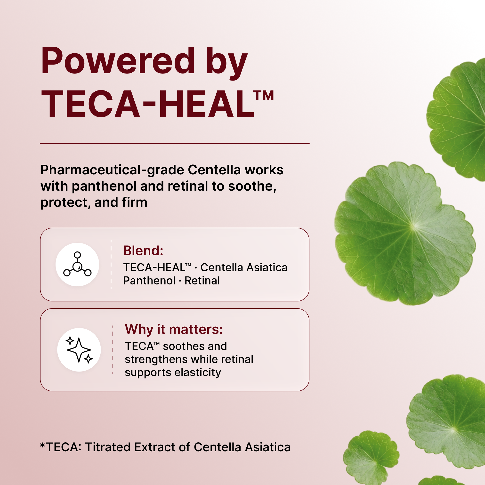 Centellian24 Expert Madeca Cream Signature 50ml — product detail image 7