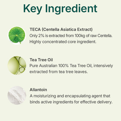 Centellian24 Madeca Powder Tea Tree AC 6g — product detail image 4