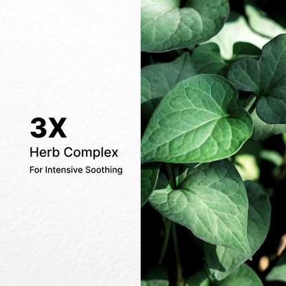 Mediheal Derma Plus Heartleaf Mask 10ea product image 7
