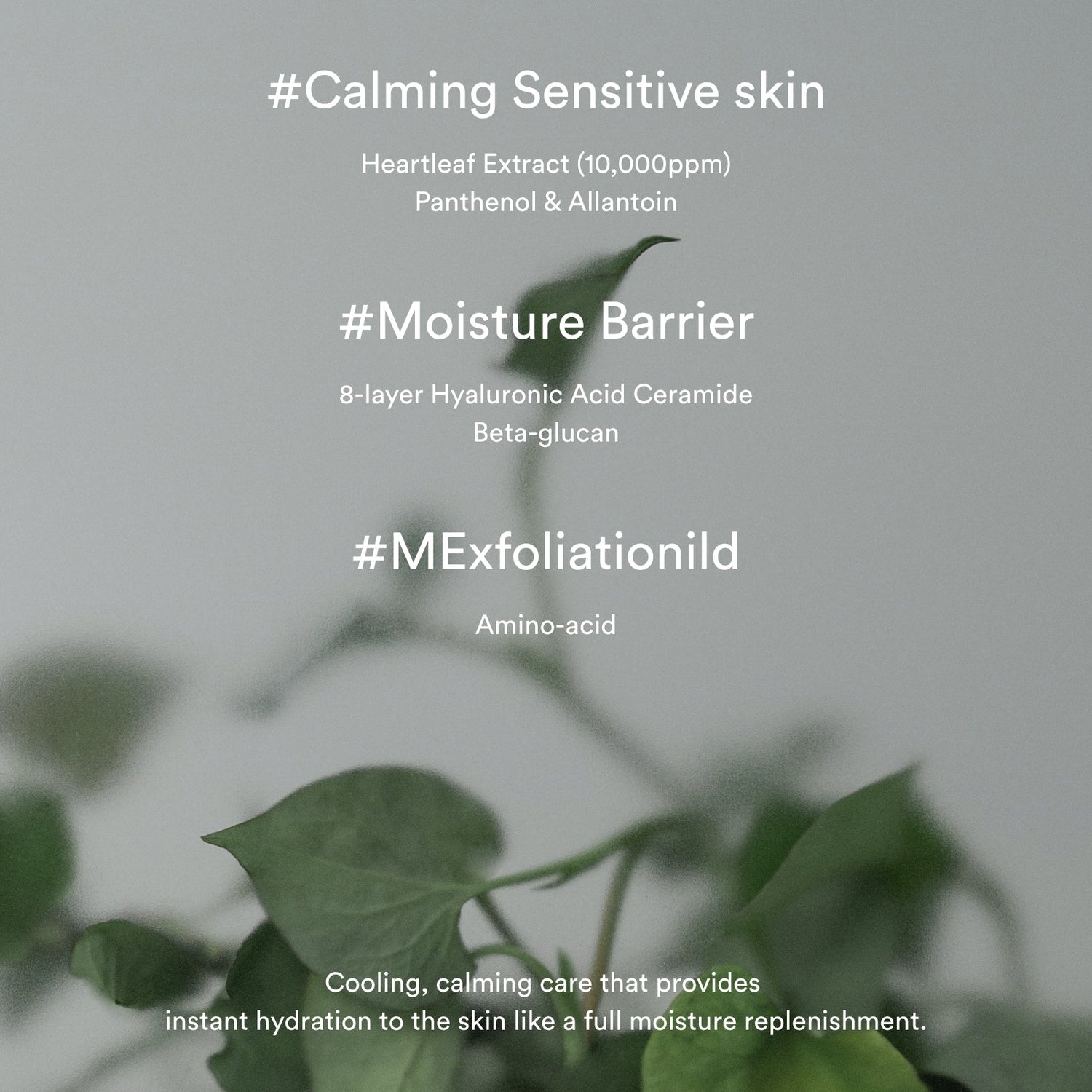 Abib Heartleaf Crème Calming Tube 75ml - official Abib product image 4
