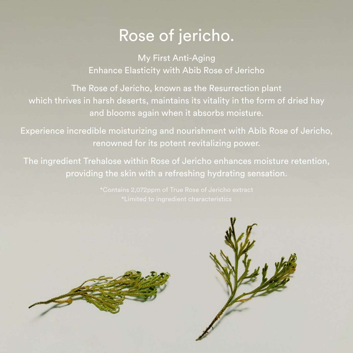 Abib Jericho Rose Bifida Firming Drop serum firming skincare detail