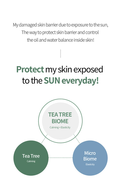 Tea Tree Biome Calming Sun Cream 50g — application detail