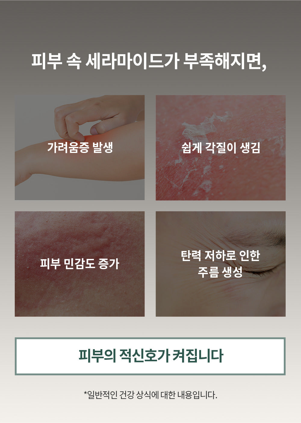 Benton Ceramide Cream 10000ppm 80ml product image 8