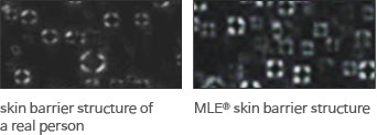 ATOPALM MLE Lotion 120ml - product image 3