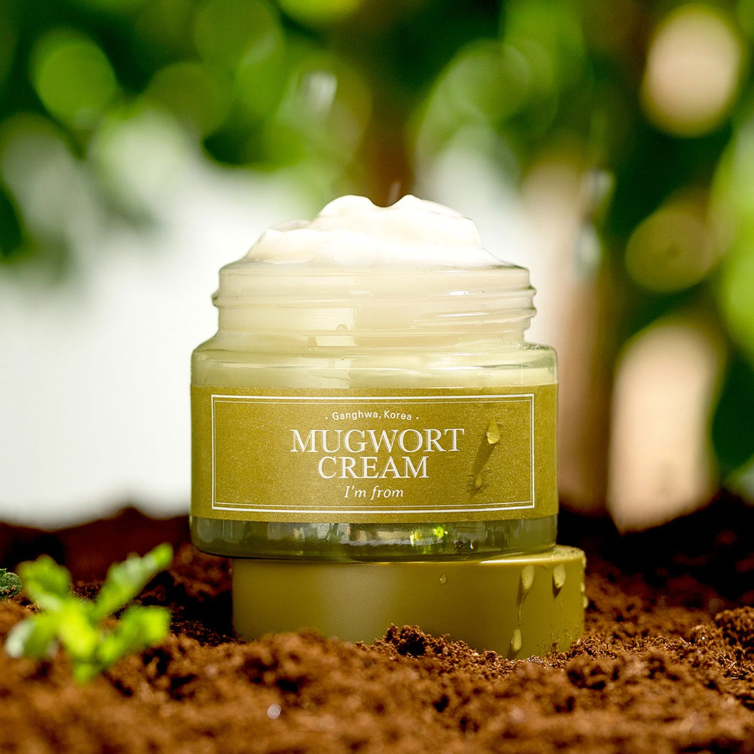 ImFrom ImFrom Mugwort Cream 50g official product image 2