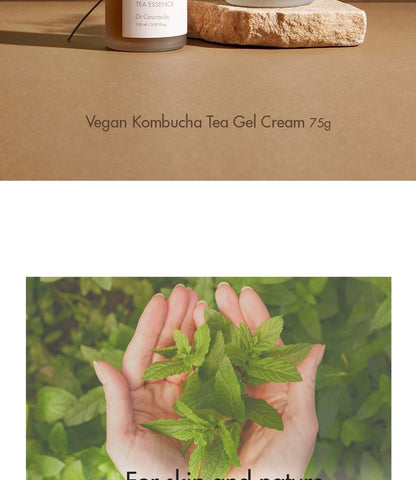 Dr.Ceuracle Vegan Kombucha Tea Gel Cream 75g — Dr.Ceuracle product image 4