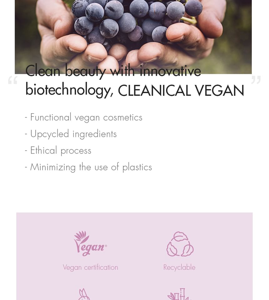 Dr.Ceuracle Vegan Active Berry Lifting Cream 75g — Dr.Ceuracle product image 5