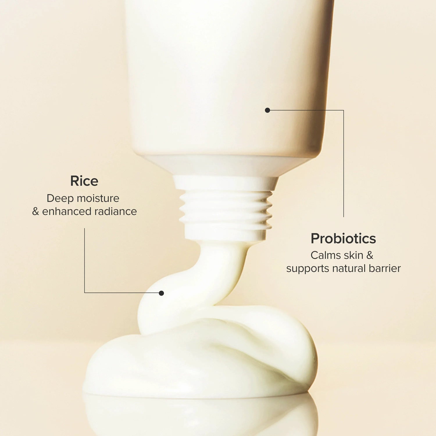 Beauty of Joseon Relief Sun : Rice + Probiotics 50ml official Beauty of Joseon source image 2