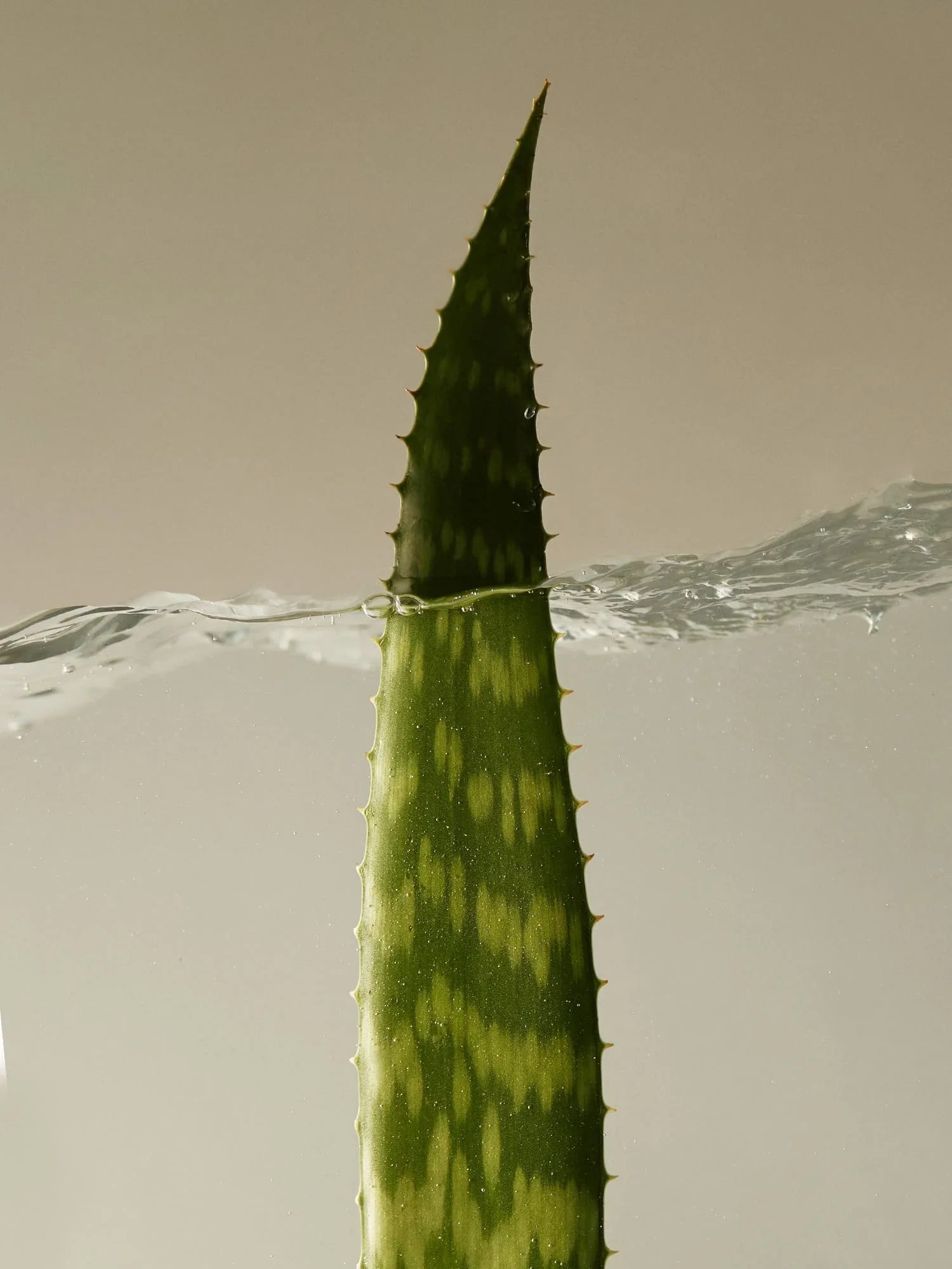 Aromatica Soothing Aloe Vera Gel 300ml - product image 4