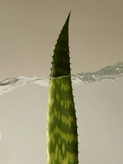 Aromatica Soothing Aloe Vera Gel 300ml - product image 4