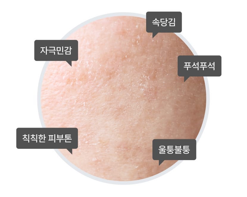Celimax The Real Noni Energy Ampoule 50ml — product detail image 4